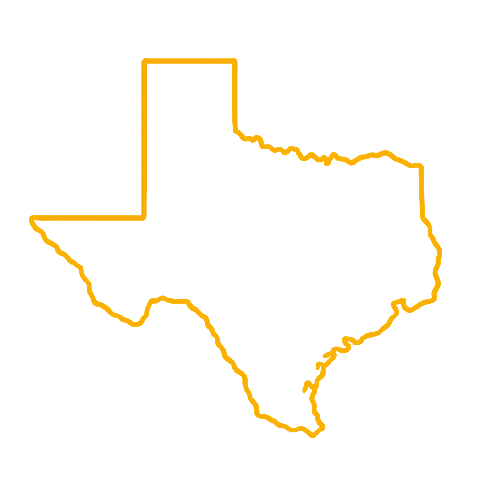 Texas Icon